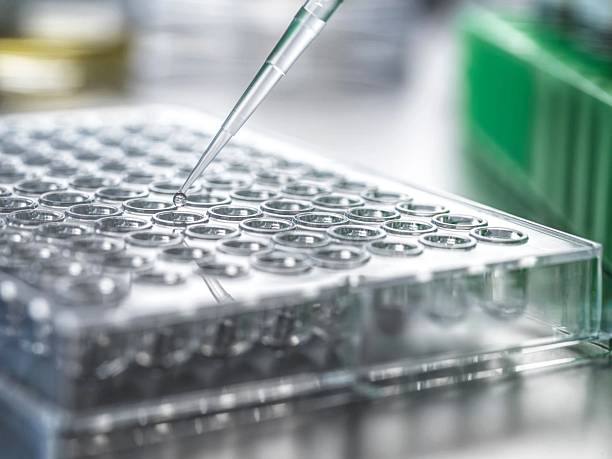 istock A pipette dispenses a liquid into a multi-well plate, showcasing a detailed lab experiment. 2220590146