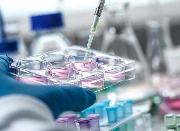 istock Scientist working with cell cultures in a lab, conducting research and analysis. 2220590179