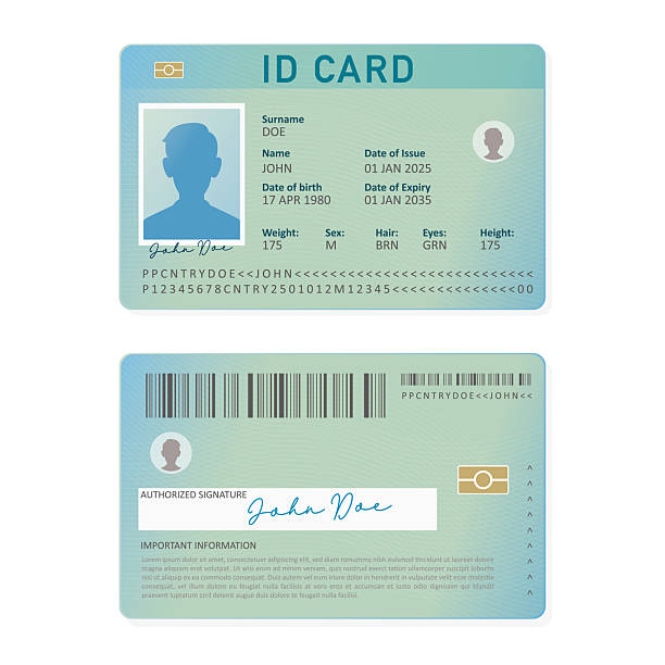 vector identity card - kimlik kartı stock illustrations