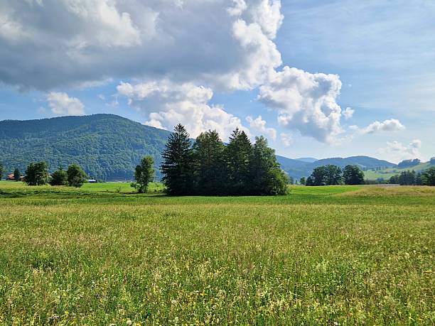 istock green landscape - Ruhpolding 2220591946