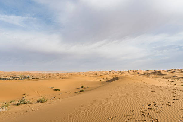 istock Beautiful and spectacular desert blue sky and white clouds scenery 2220592818