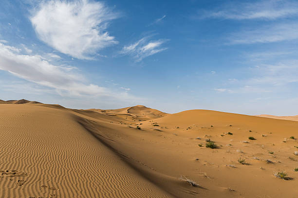 istock Beautiful and spectacular desert blue sky and white clouds scenery 2220592886