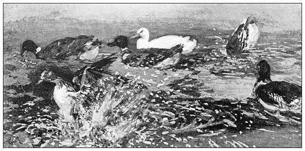 istock Sketch from Kinderalbum, by Adolph Von Menzel 2220595403