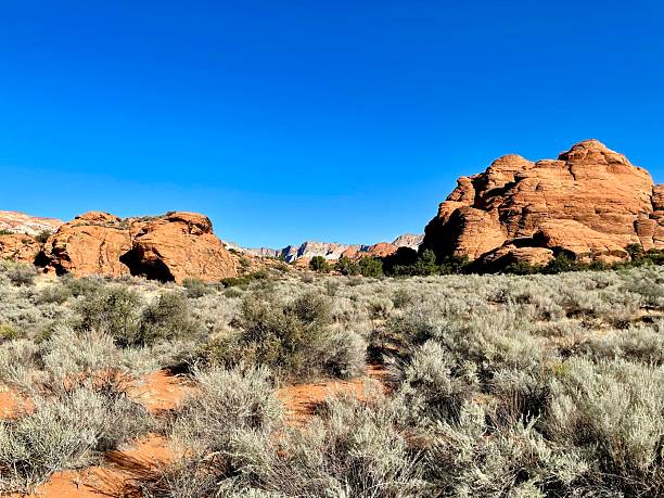 istock Gorgeous Snow Canyon State Park in St. George Utah 2220597009