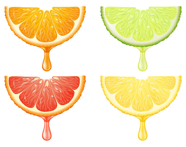istock A set of citrus slices with juice drop. Vector illustration. 2220602720
