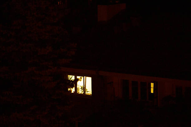 istock A house is beautifully illuminated at night, with a tree behind 2220604491