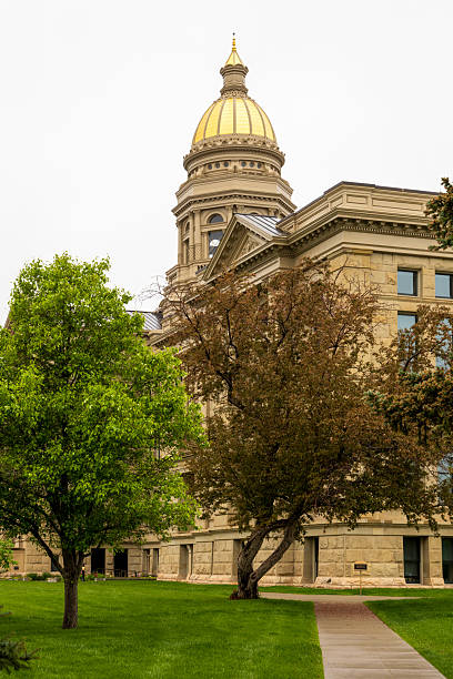 istock Wyoming State Capitol Building in Cheyenne 2220605874