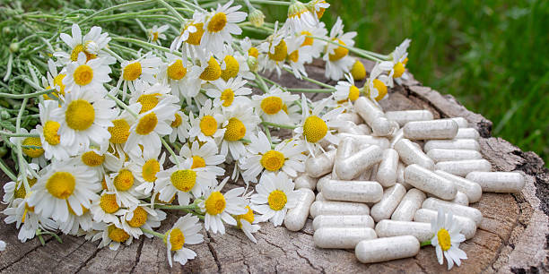 istock Chamomile Capsules and Fresh Daisies on Wooden Surface 2220607242