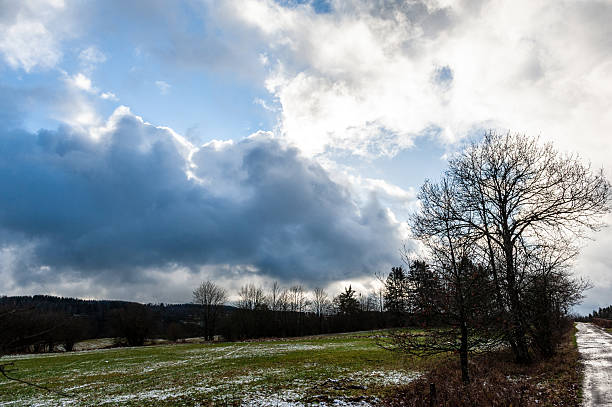 Exterior scene from the forest near the belgian town of Mont, close to Malmedy, in the Ardennes