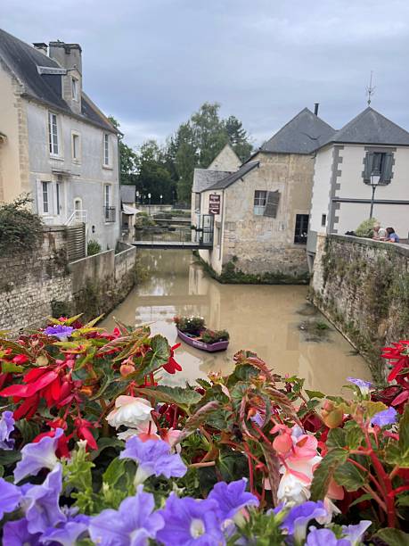 istock Boat of Flowers 2220609757