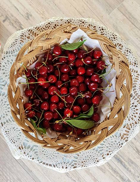 Delicious cherries newly cut from the branch