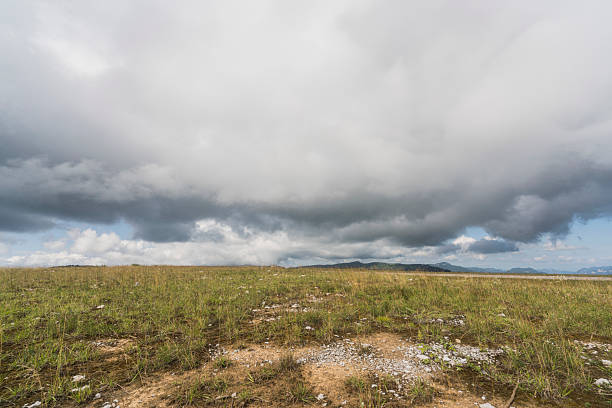 Beautiful Outdoor Open Field Grassland Blue Sky White Clouds