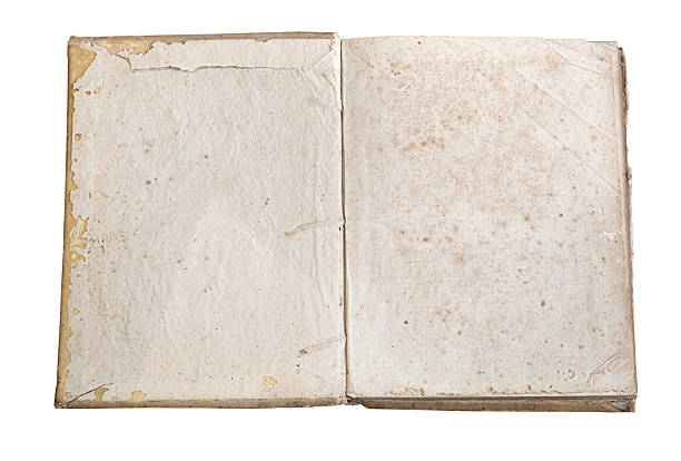 istock Open old book showing blank pages on white background 2220614963