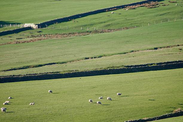 istock View of fields over the countryside 2220615768