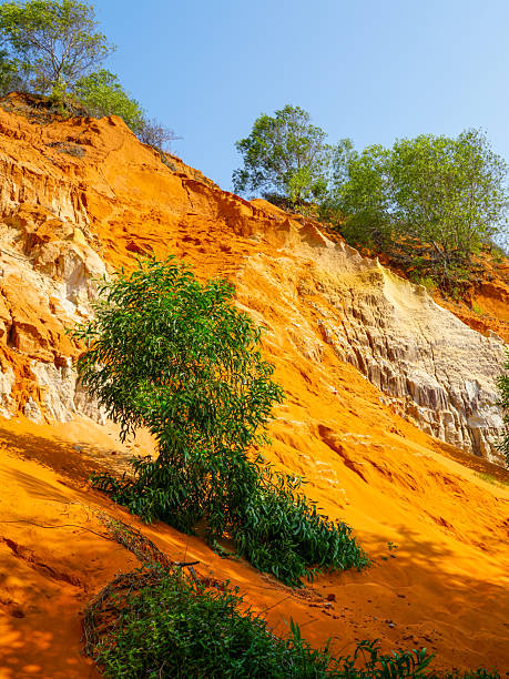 Bright red and white sandstone cliffs with green trees in Ham Tien Canyon under blue sky, Vietnam
