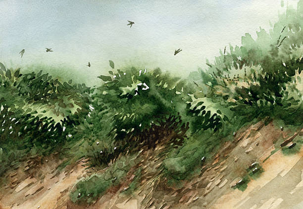 istock 25.06.45_Sandy ravine with thickets. The hainted with watercolors (2) 2220619222