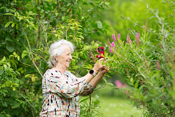istock senior woman gardening  using phone for identifying a plant 2220619246