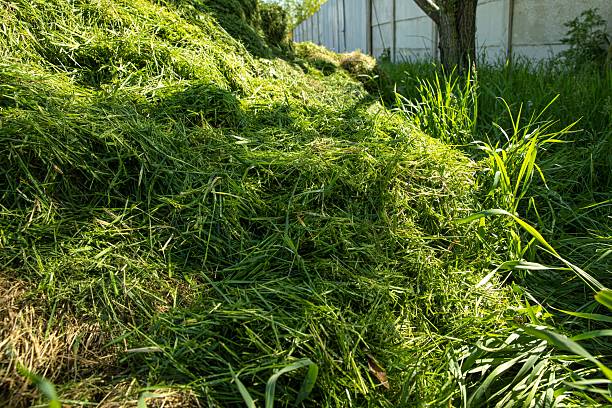 istock Large Pile of Freshly Cut Grass for Compost or Mulch 2220621202