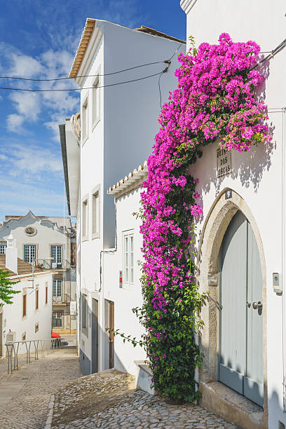 istock Flower-filled balconies with ornate iron railings on sunlit building 2220623006