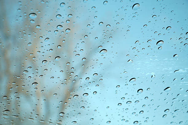 trees in the rain behind window glass with rain drop