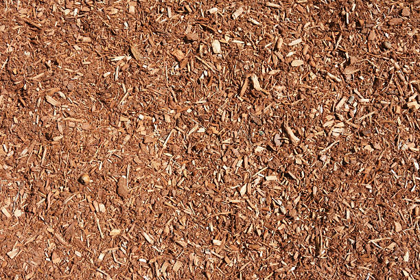 istock high angle view of mulch background in garden 2220623607
