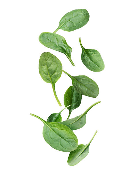 istock Fresh spinach leaves in the air on a white background 2220624556