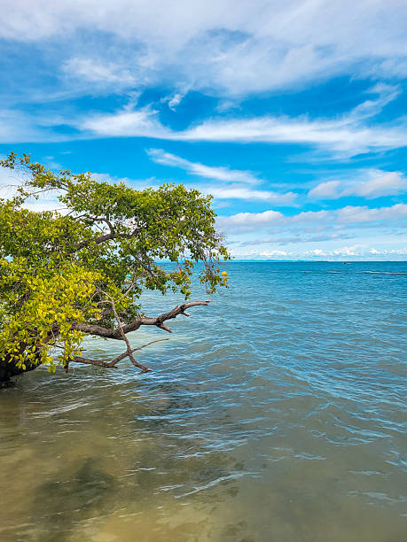 istock Serene Coastal Landscape in San Bernardo Archipelago 2220624596