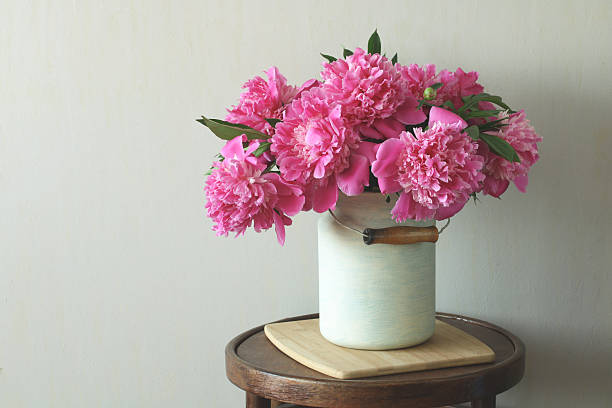 istock Pink peonies blooming in a white enamel can on a wooden table 2220625105