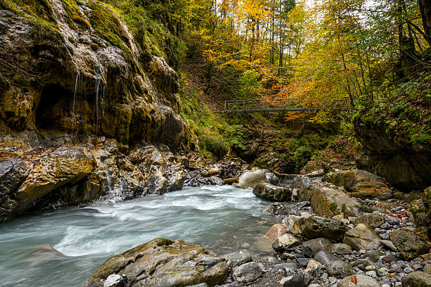 The winding river Meng in a creek in Nenzing, Vorarlberg and a colorful forest during fall