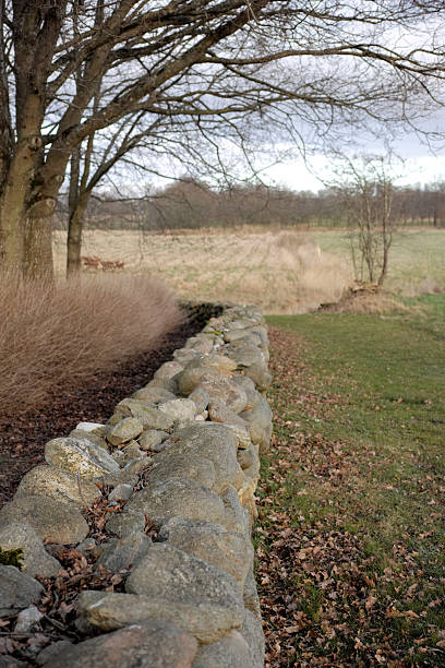 istock Rustic Stone Wall Lined with Dry Grass and Trees in a Danish Countryside Landscape 2220640147