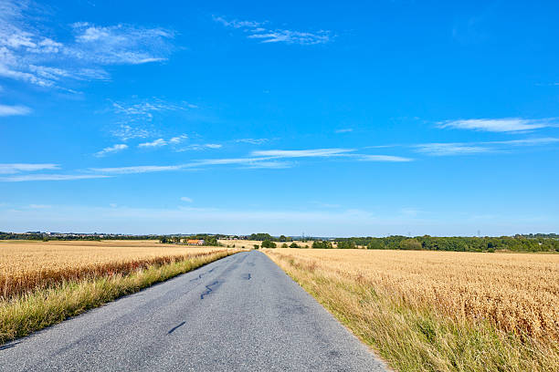 A picturesque countryside scene in Denmark features a narrow asphalt road surrounded by golden fields, leading to a distant horizon. The vibrant blue sky complements the peaceful and natural beauty of the area.