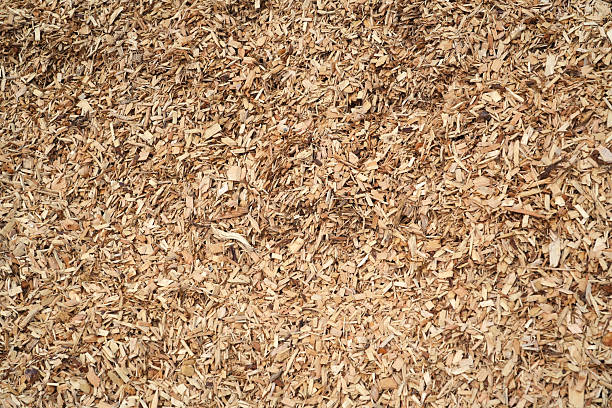 istock high angle view of mulch background in garden 2220642161