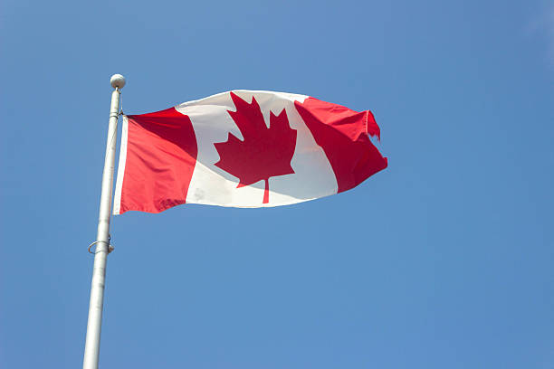istock Canadian Flag in Sky Blue Background 2220643206