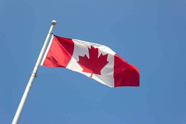 istock Canadian Flag in Sky Blue Background 2220643211