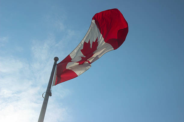 istock Canadian Flag in Sky Blue Background 2220643212