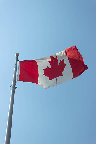 istock Canadian Flag in Sky Blue Background 2220643218