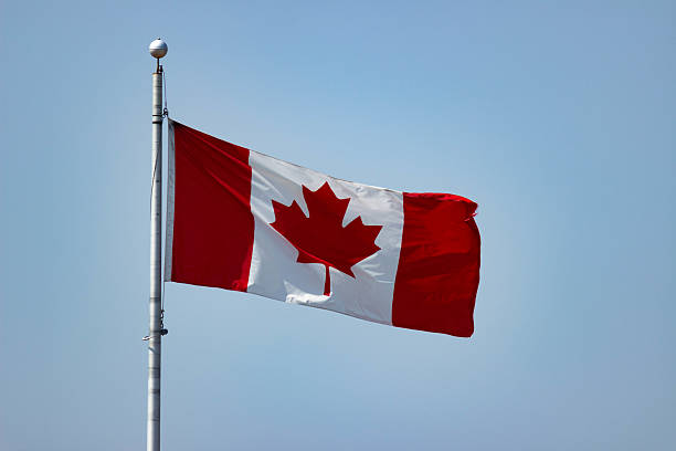 istock Canadian Flag in Sky Blue Background 2220643228