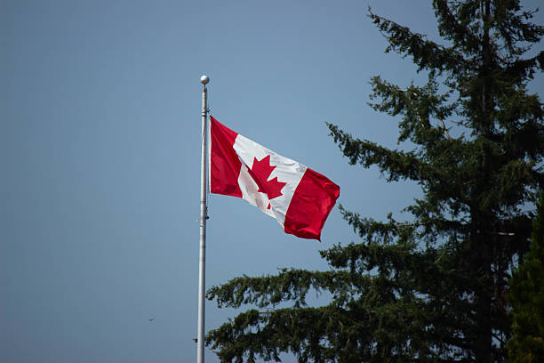 istock Canadian Flag in Sky Blue Background 2220643233