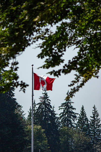 istock Canadian Flag in Sky Blue Background 2220643253