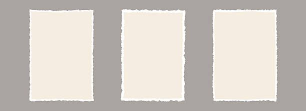 Torn paper frame backgrounds. Beige blank sheet wallpapers with jagged edges. Ripped grunge element bundle for poster, text box, banner, collage, sticker. Vector rectangle craft backdrops