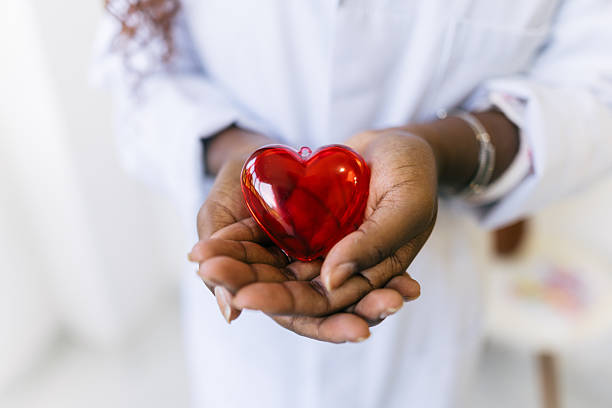 istock Young medical professional holding heart model 2220645401