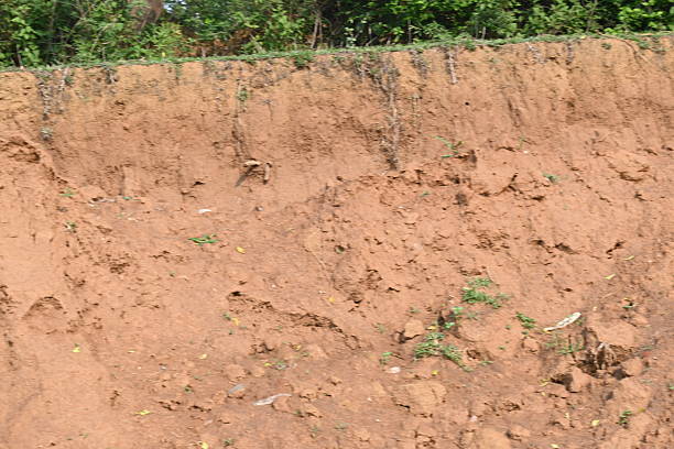 istock Pile of soil. 2220646413