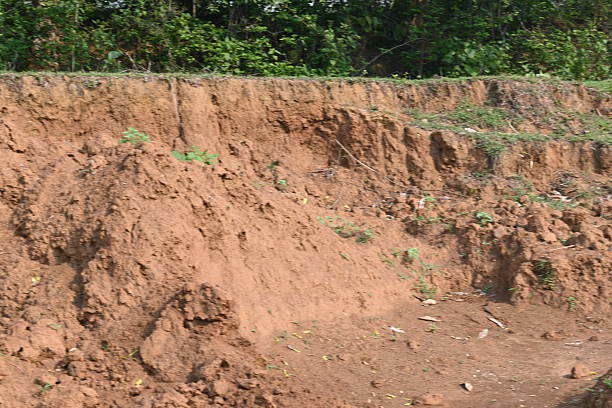 istock Pile of soil. 2220646524