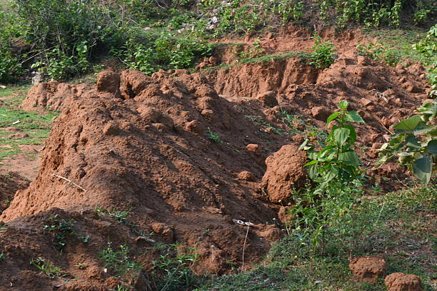 istock Pile of soil. 2220646562
