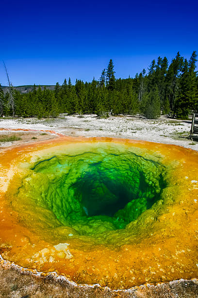 istock Morning Glory Pool at Yellowstone National Park in Wyoming - Vertical Format 2220647125