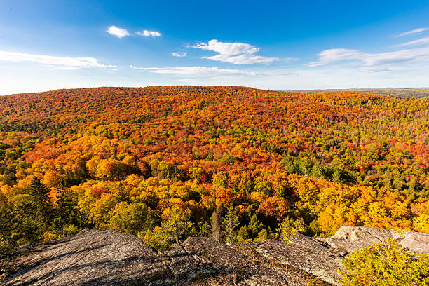 istock Vibrant autumn forest viewed from rocky mountain cliff 2220649520