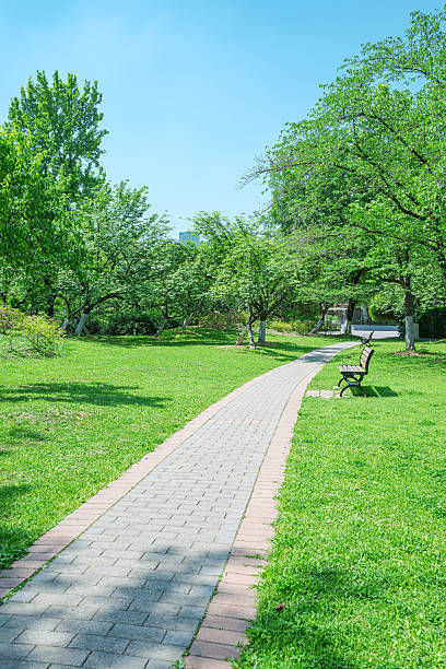 Curved footpath through the green city park