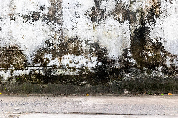 istock Weathered concrete wall with moss and cracks in urban street setting 2220665778