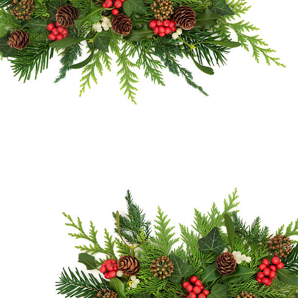 istock Traditional Winter Christmas Nature Border Background 2220672675