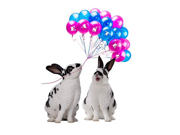 two christmas rabbit with bright balls isolated on white background